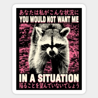 In a situation Raccoon Magnet